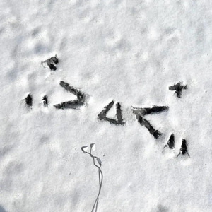 Yeonwoo新图9套最新消息今天
