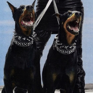 Yeonwoo新图9套最新消息今天
