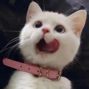 Yeonwoo新图9套最新消息今天
