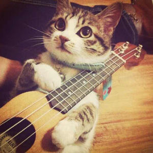 Yeonwoo新图9套最新消息今天
